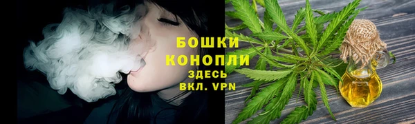 jwh Пересвет