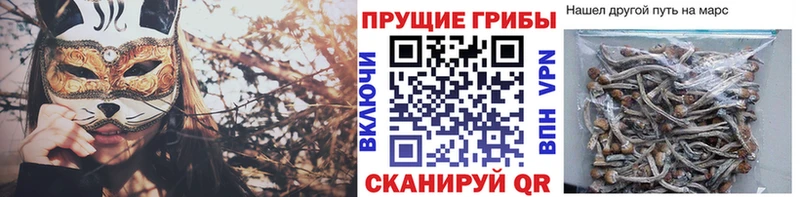 Галлюциногенные грибы прущие грибы  Шарыпово 