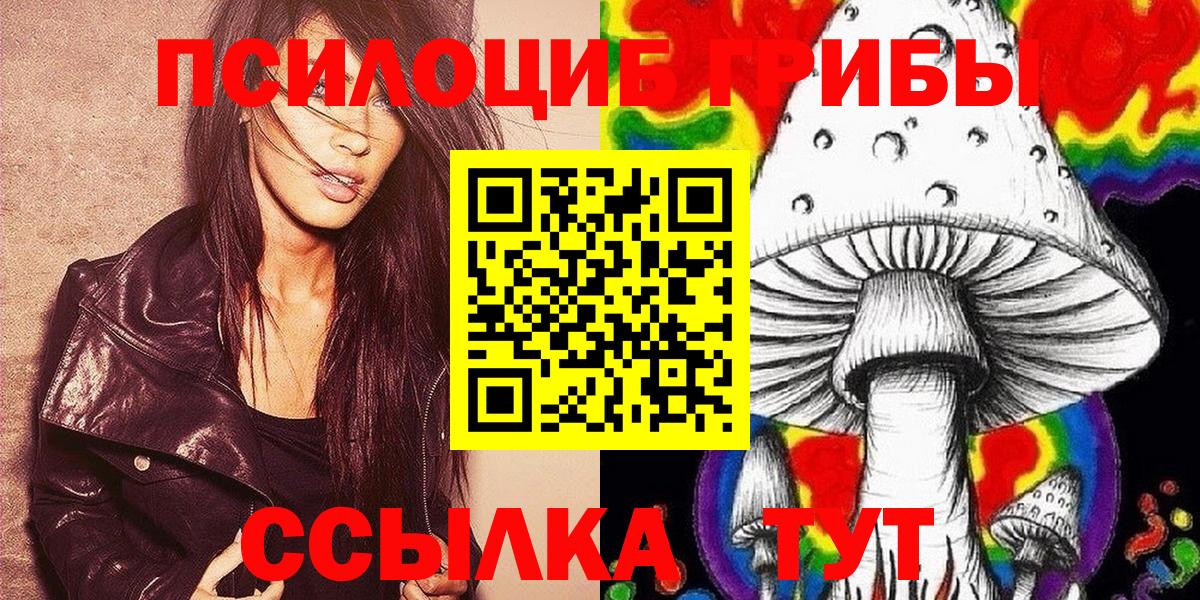 Шарыпово  Галлюциногенные грибы прущие грибы  Вход с VPN 